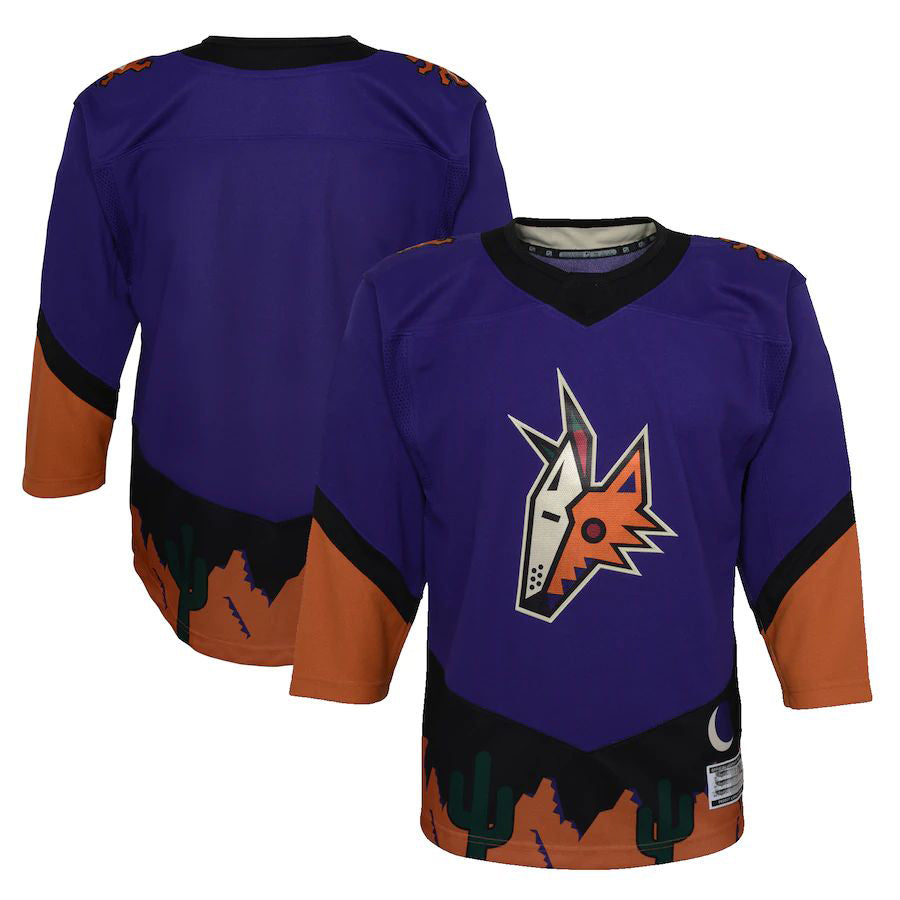 A.Coyotes 2020-21 Special Edition Premier Jersey Purple Stitched American Hockey Jersey UNEC